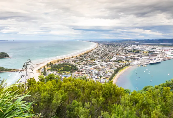 Bay of Plenty House Construction: What Makes It Unique Compared to Other Regions?